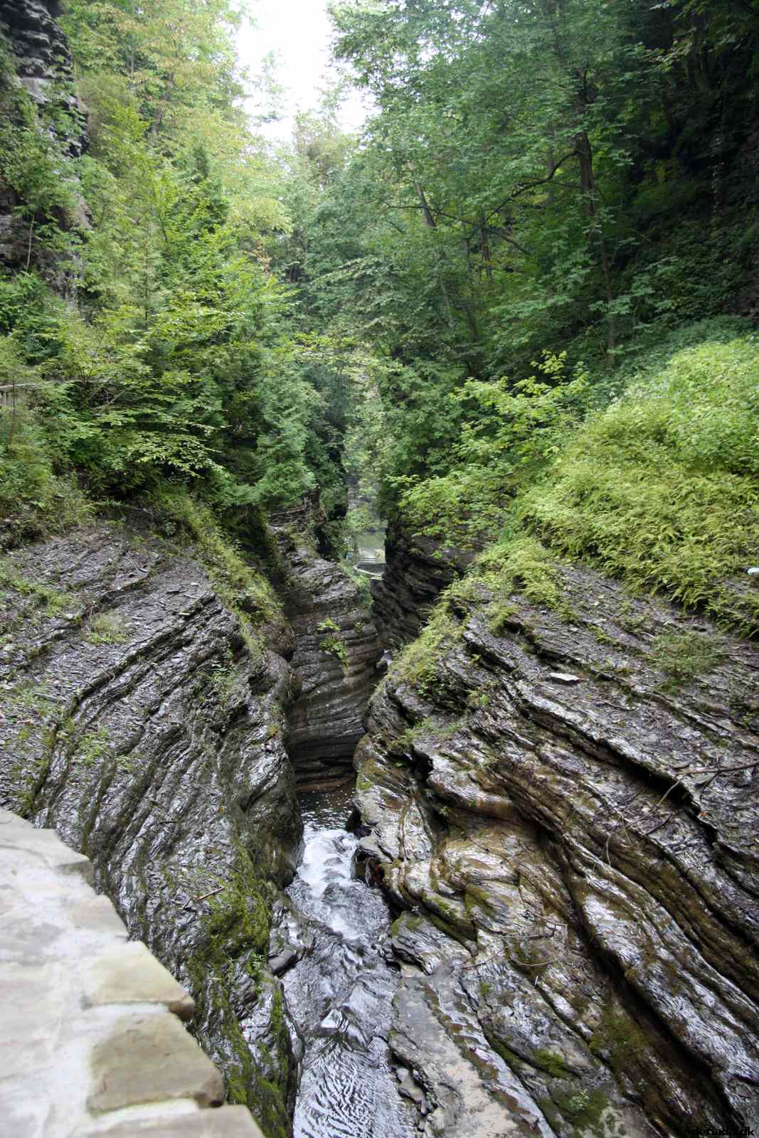 * Image 74