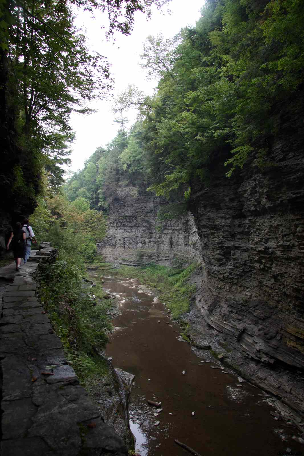 * Image 85