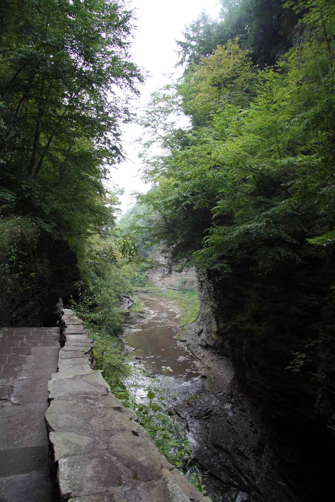 * Image 88