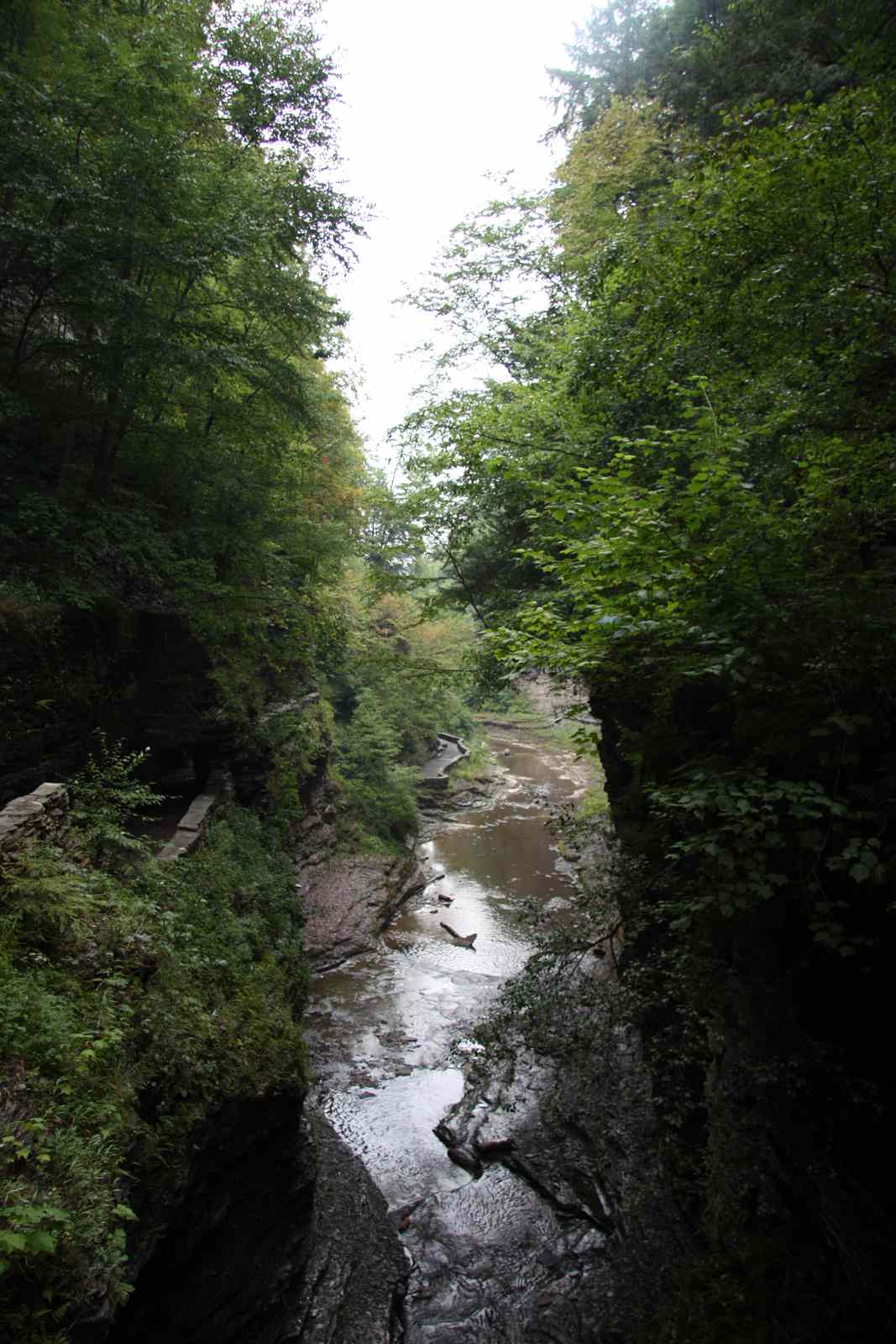 * Image 89
