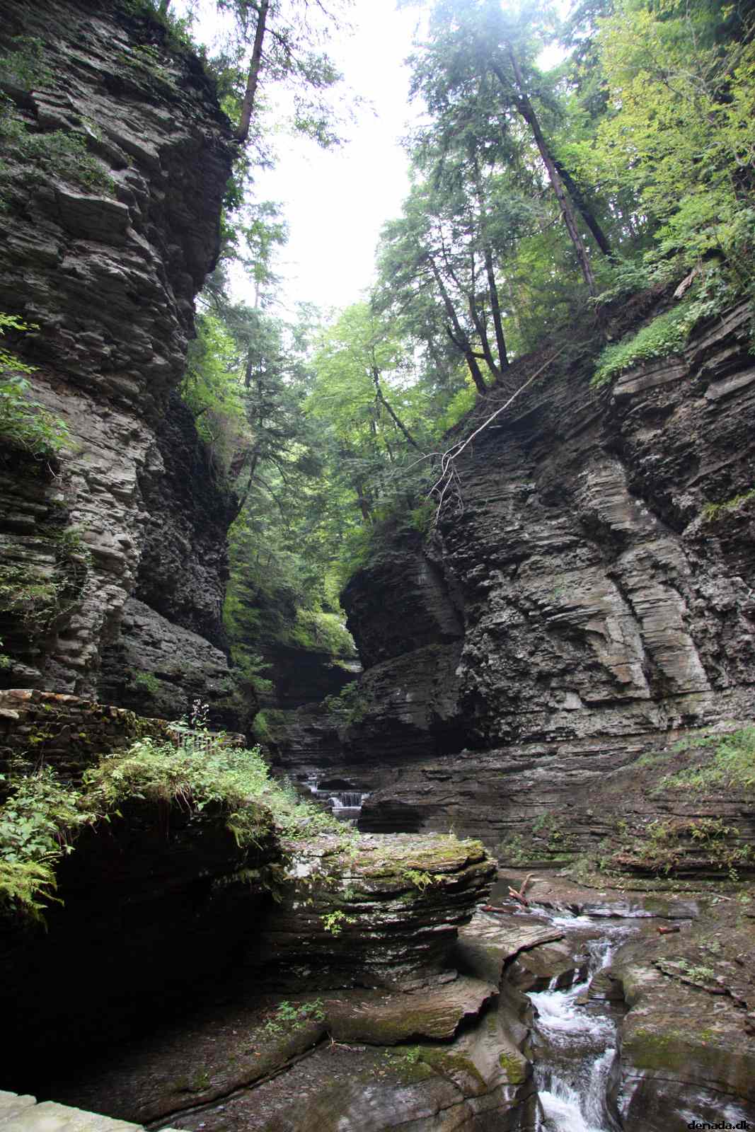 * Image 91