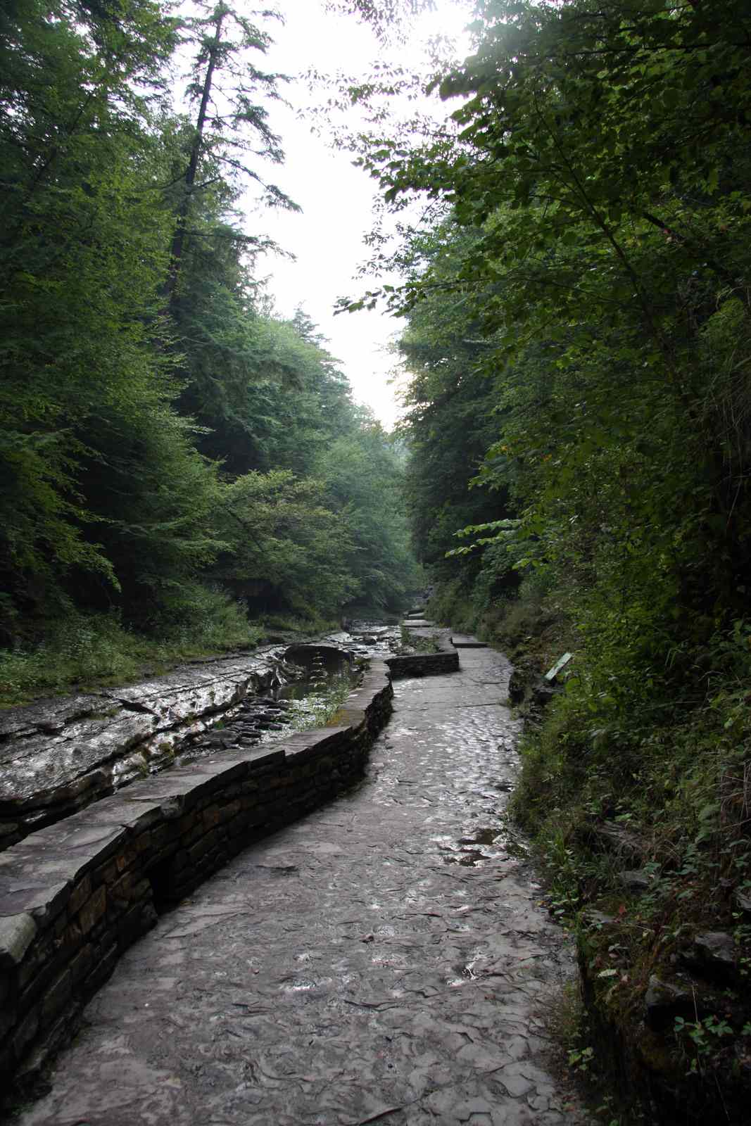 * Image 105
