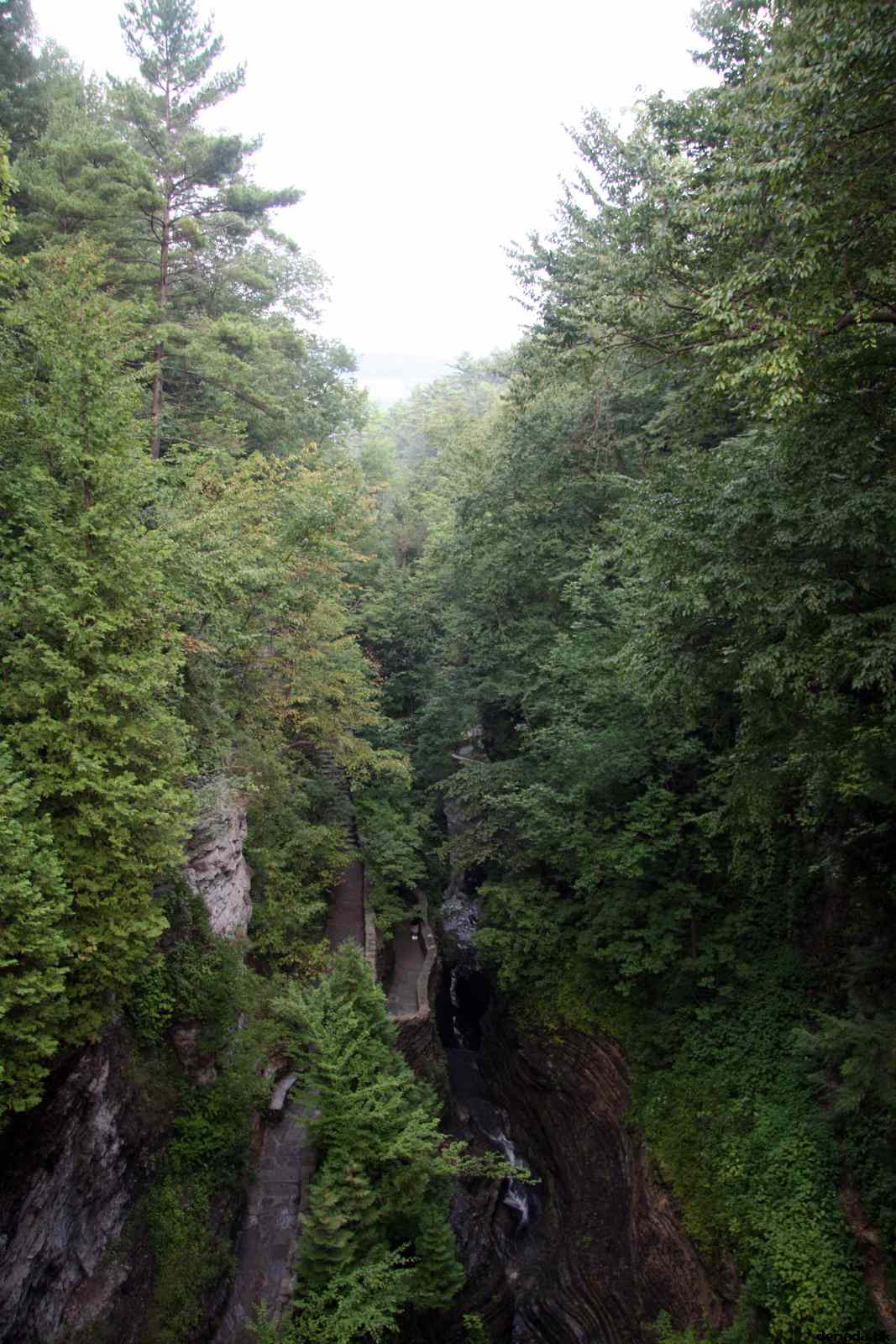 * Image 113