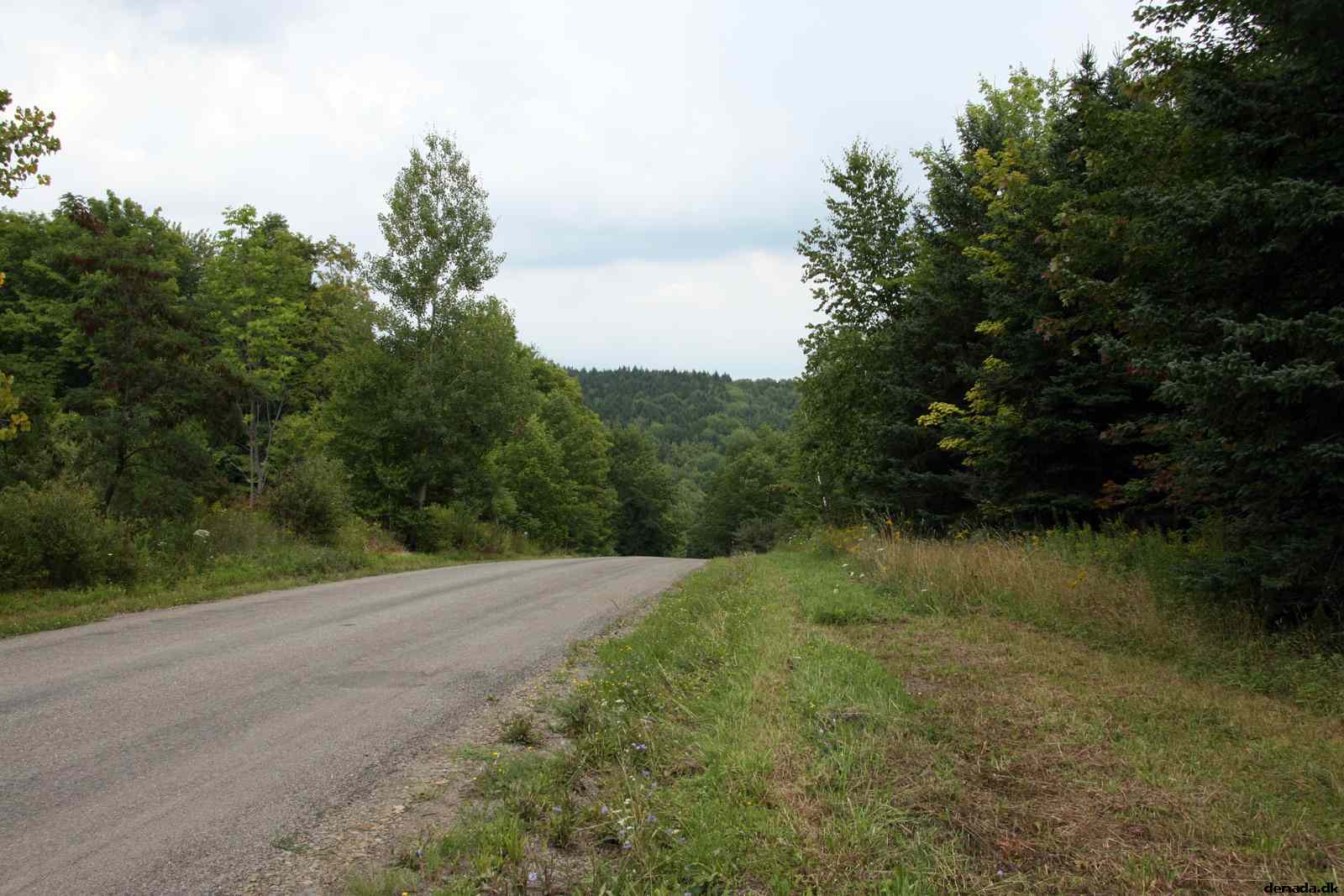 * Image 3