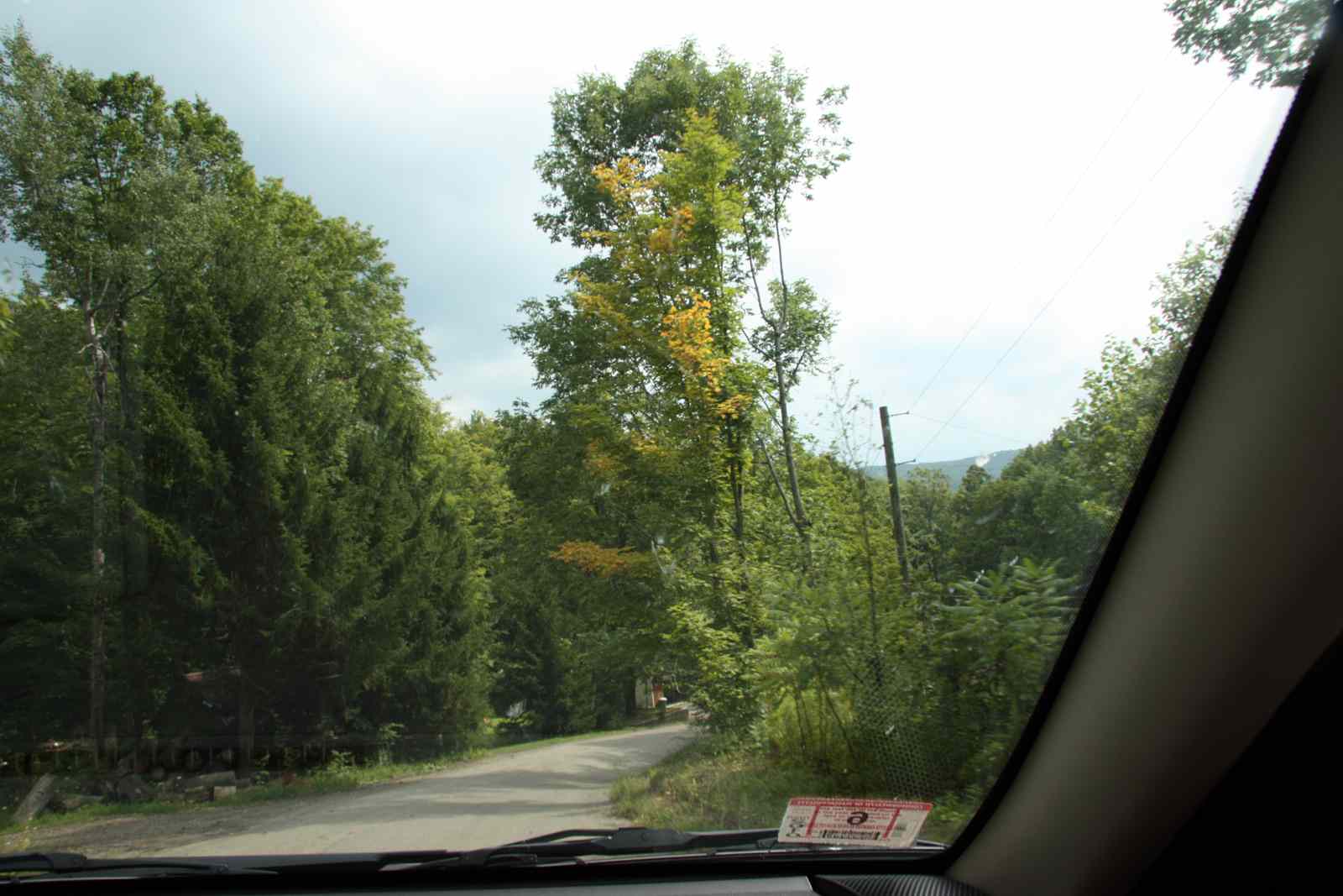 * Image 6