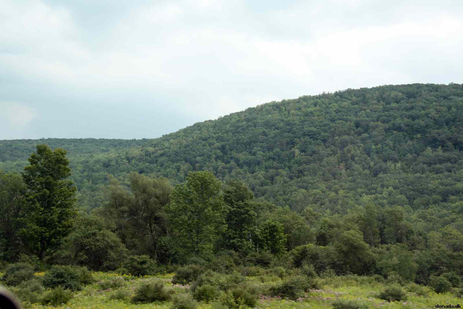 * Image 10