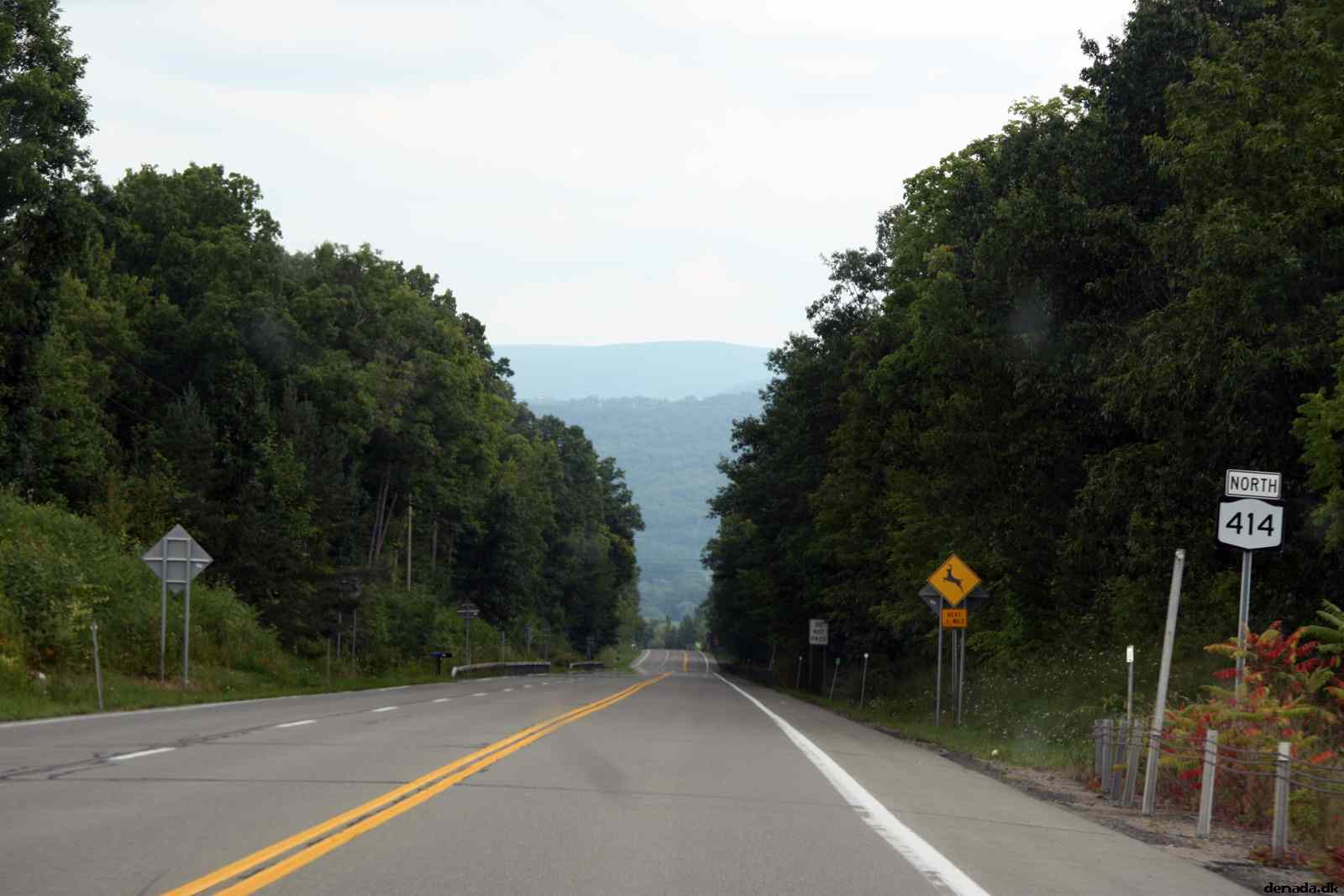 * Image 15