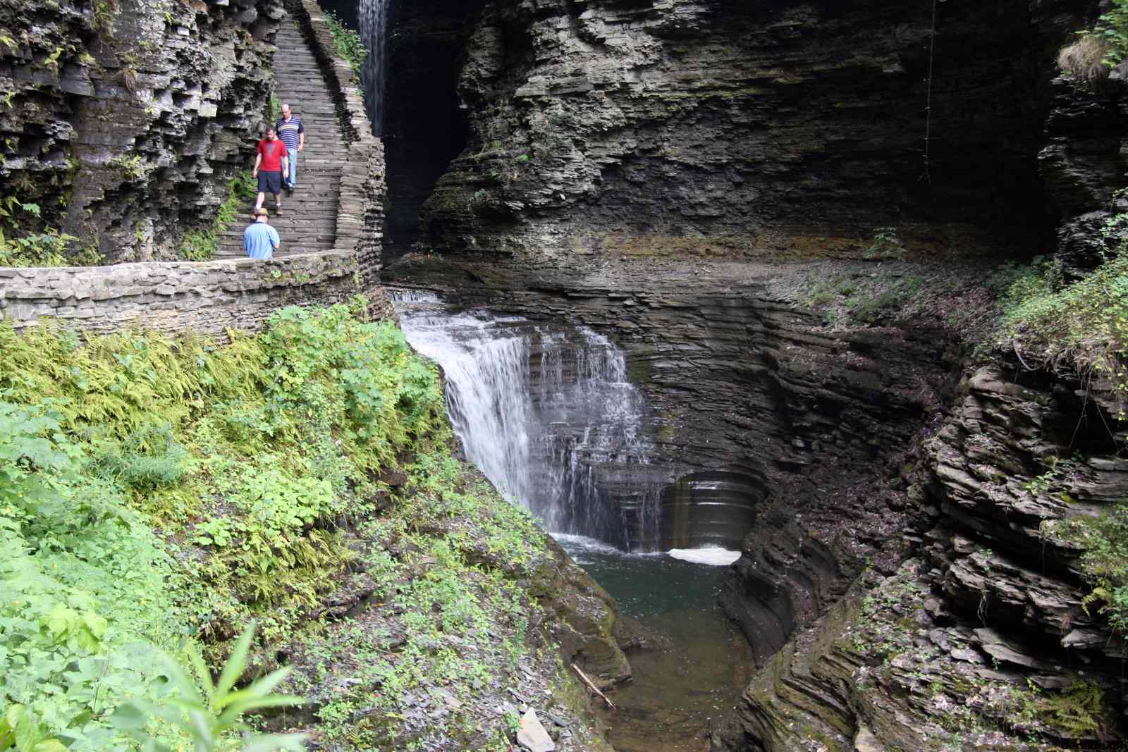 * Image 55