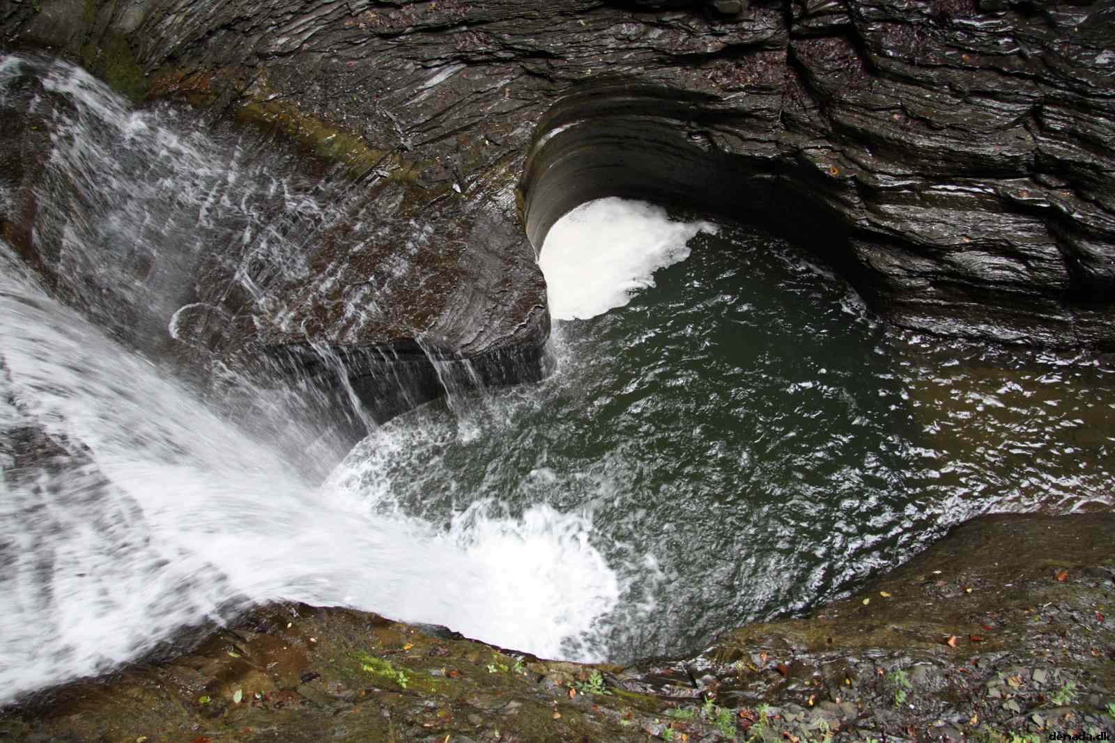 * Image 58