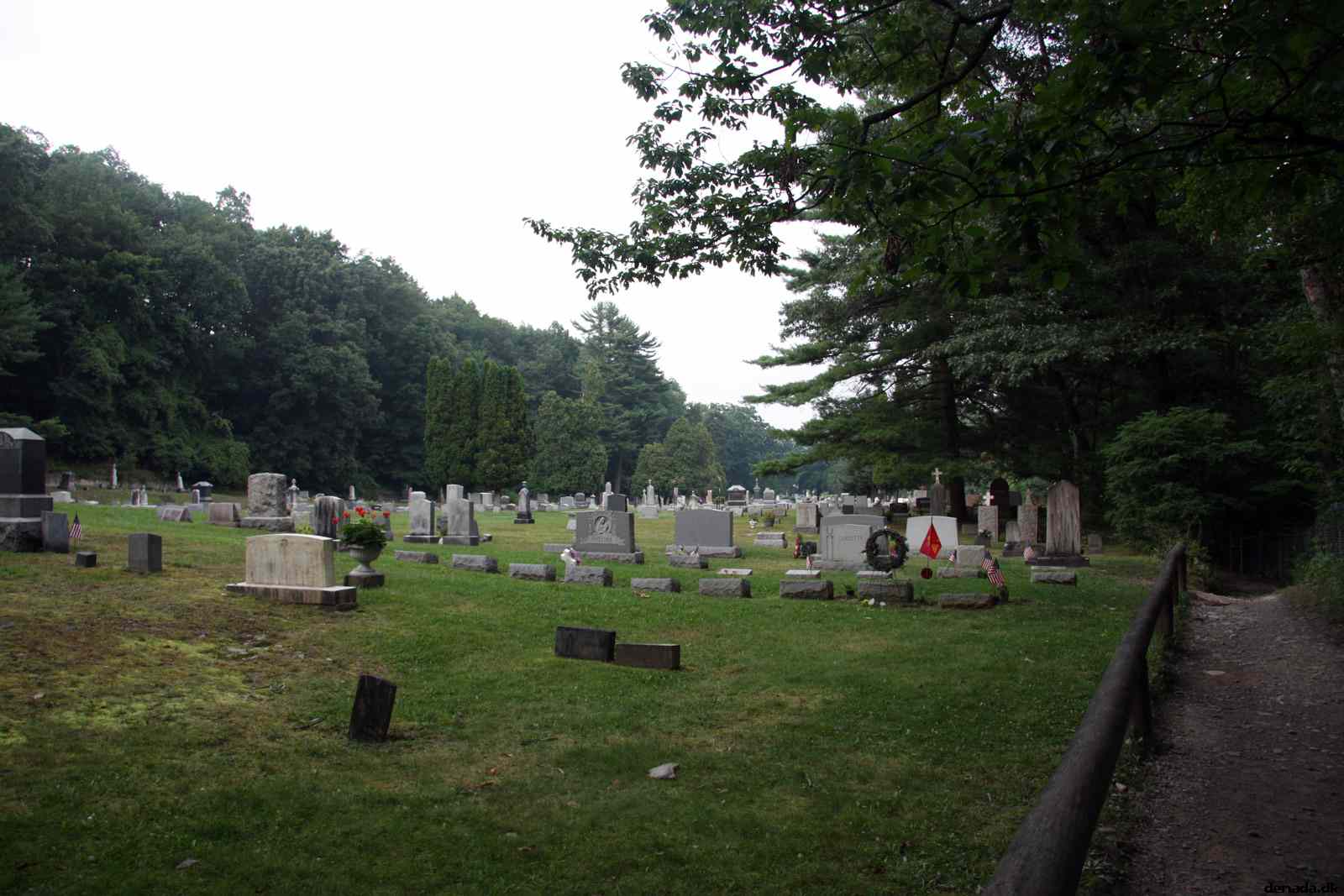 * Image 110