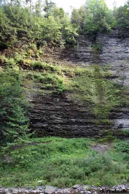 * Image 41