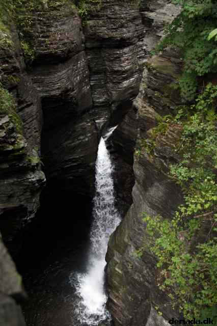 * Image 48