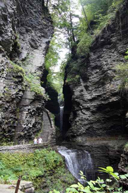 * Image 54