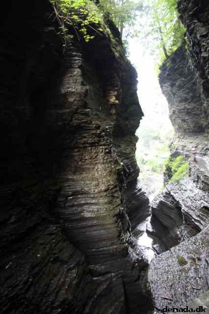 * Image 65
