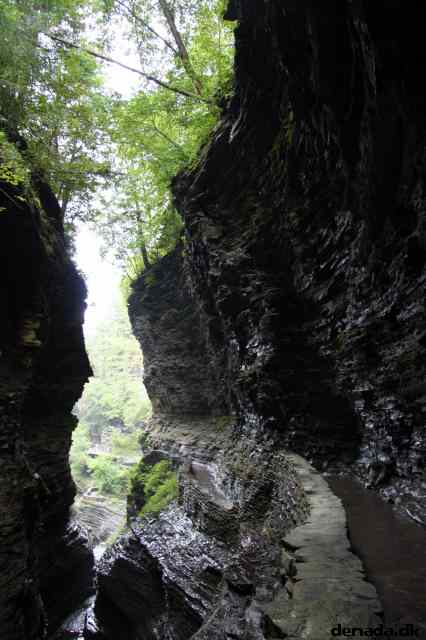 * Image 66