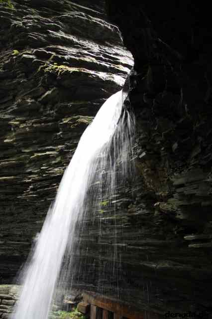 * Image 67