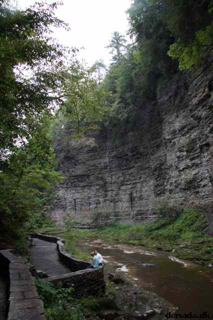 * Image 82