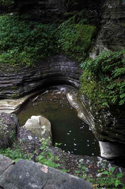 * Image 101