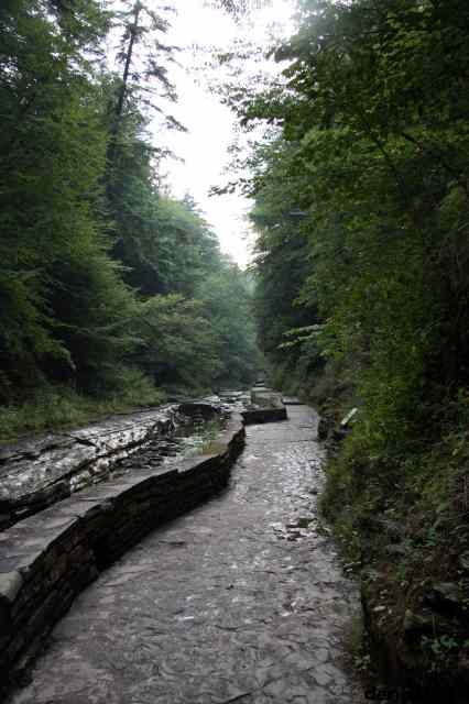 * Image 105