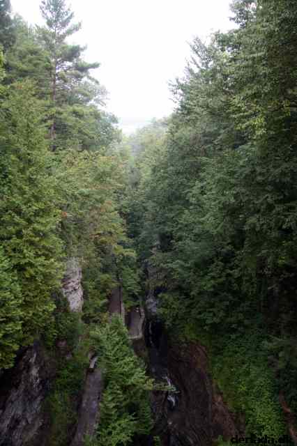 * Image 113