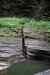 200908220160m.jpg - 2009:08:22 18:10:21