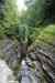 200908220162m.jpg - 2009:08:22 18:11:01