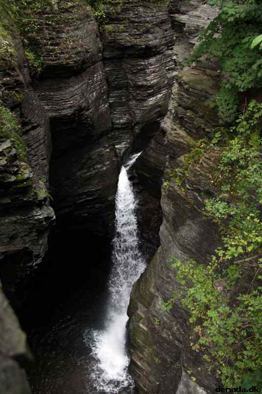 * Image 48