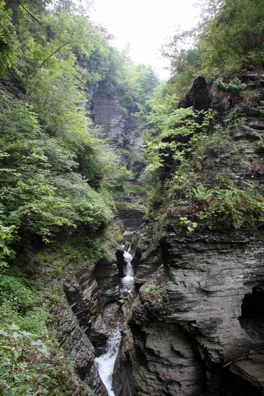 * Image 49