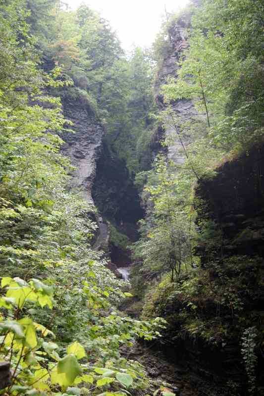 * Image 50