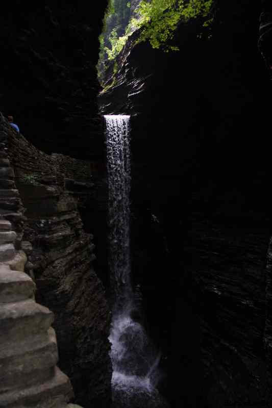 * Image 61