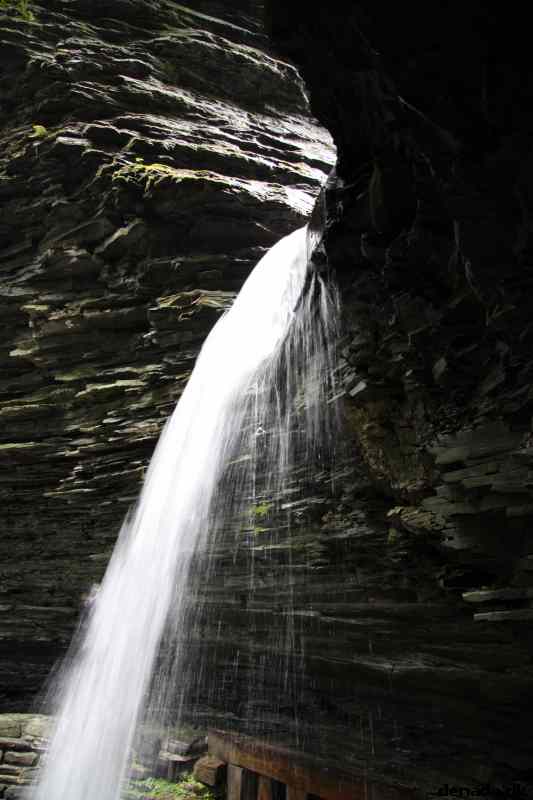 * Image 67