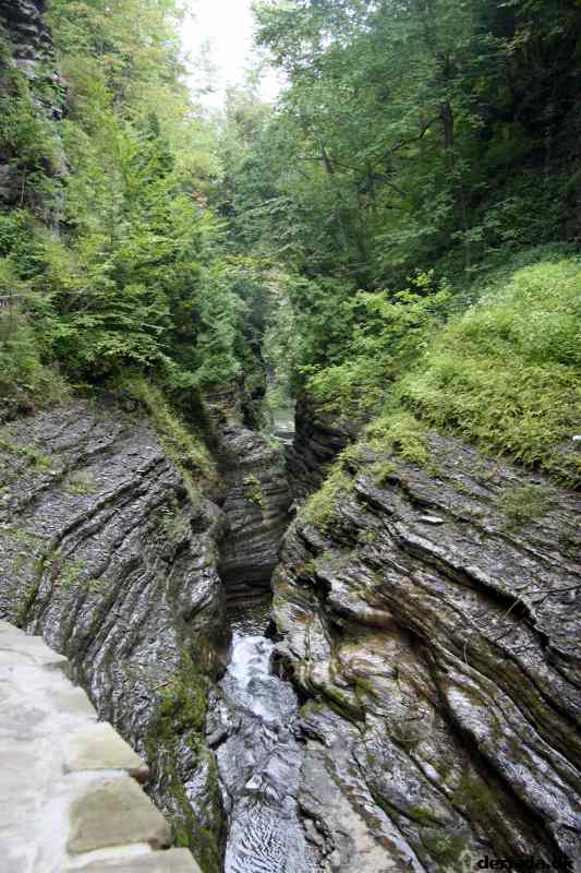* Image 74