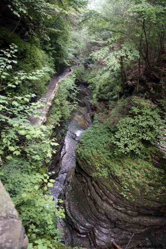 * Image 78