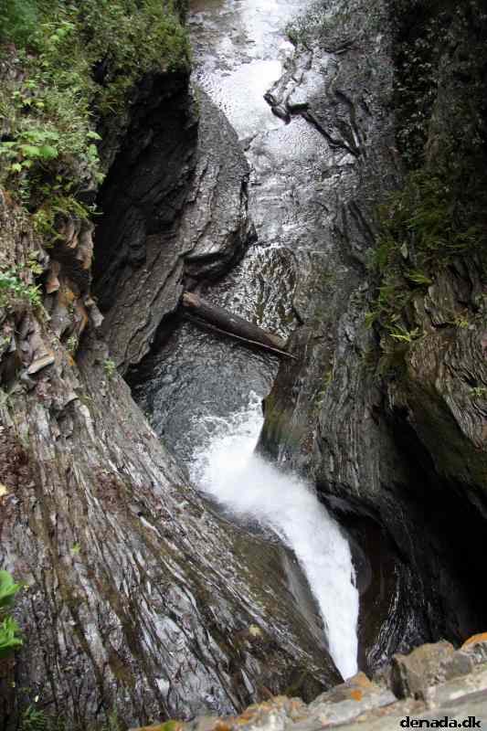 * Image 90