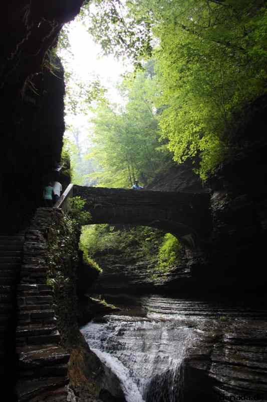 * Image 97