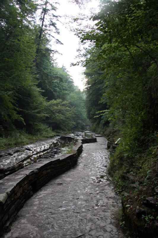 * Image 105