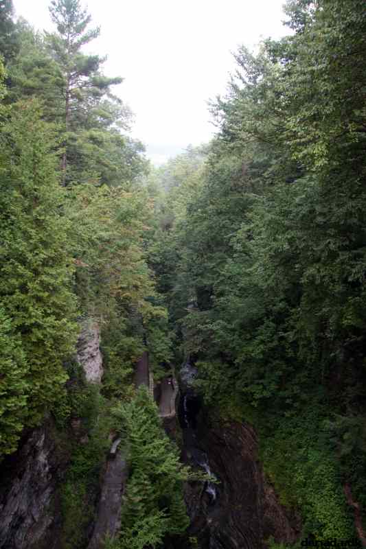 * Image 113