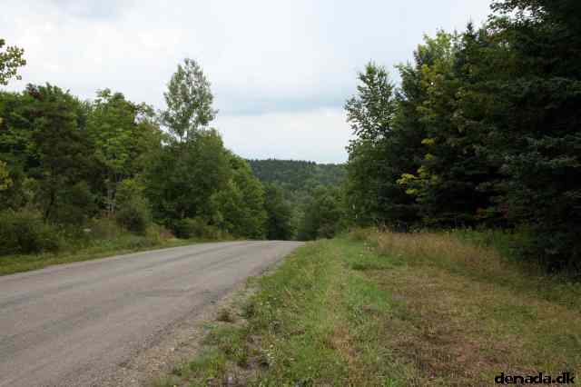 * Image 3