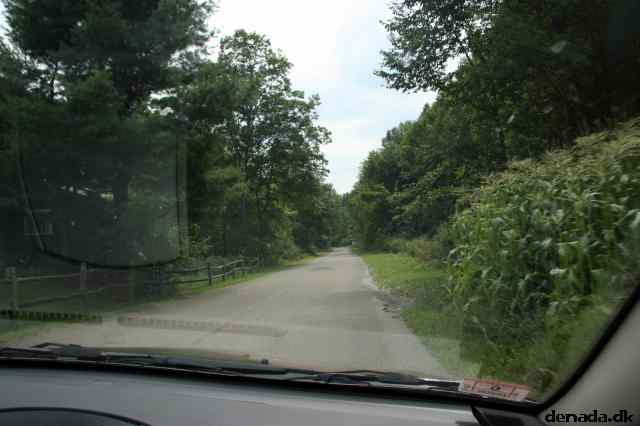 * Image 7