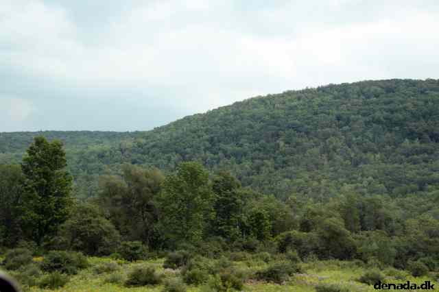 * Image 10