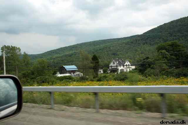 * Image 11
