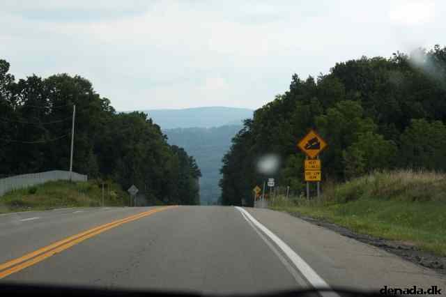 * Image 14