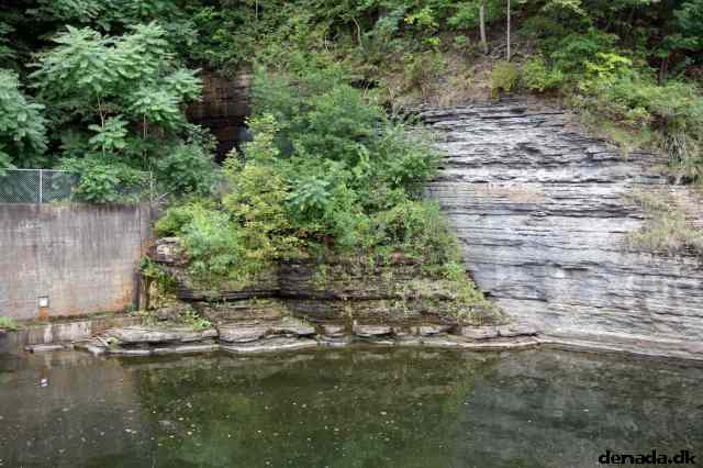 * Image 29