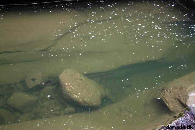 * Image 109