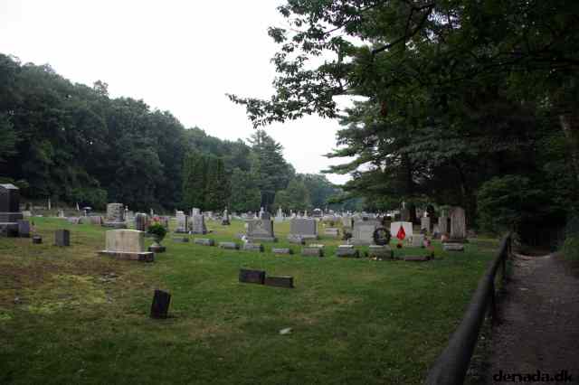 * Image 110