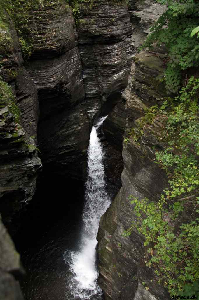 * Image 48