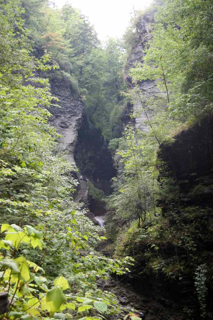 * Image 50