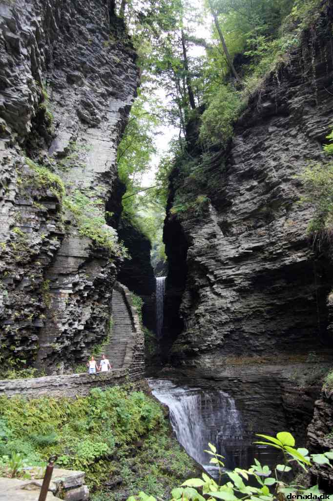 * Image 54