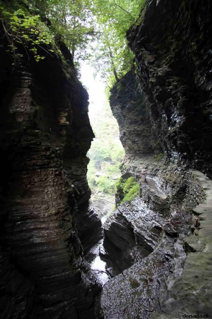 * Image 64