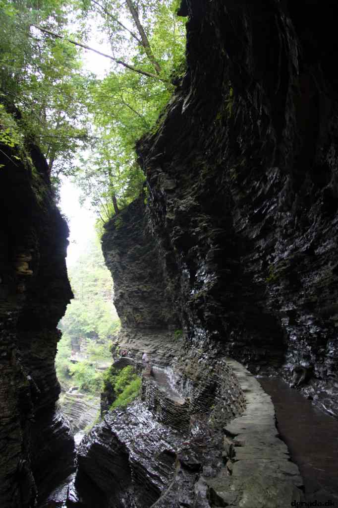 * Image 66
